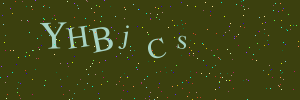 Validation image