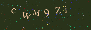 Validation image
