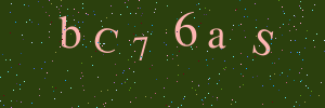 Validation image