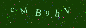 Validation image