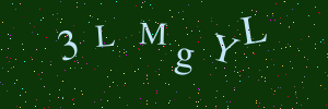 Validation image